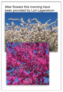 Altar Flowers from Lori Lagerstrom